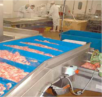 魚介・水産業4